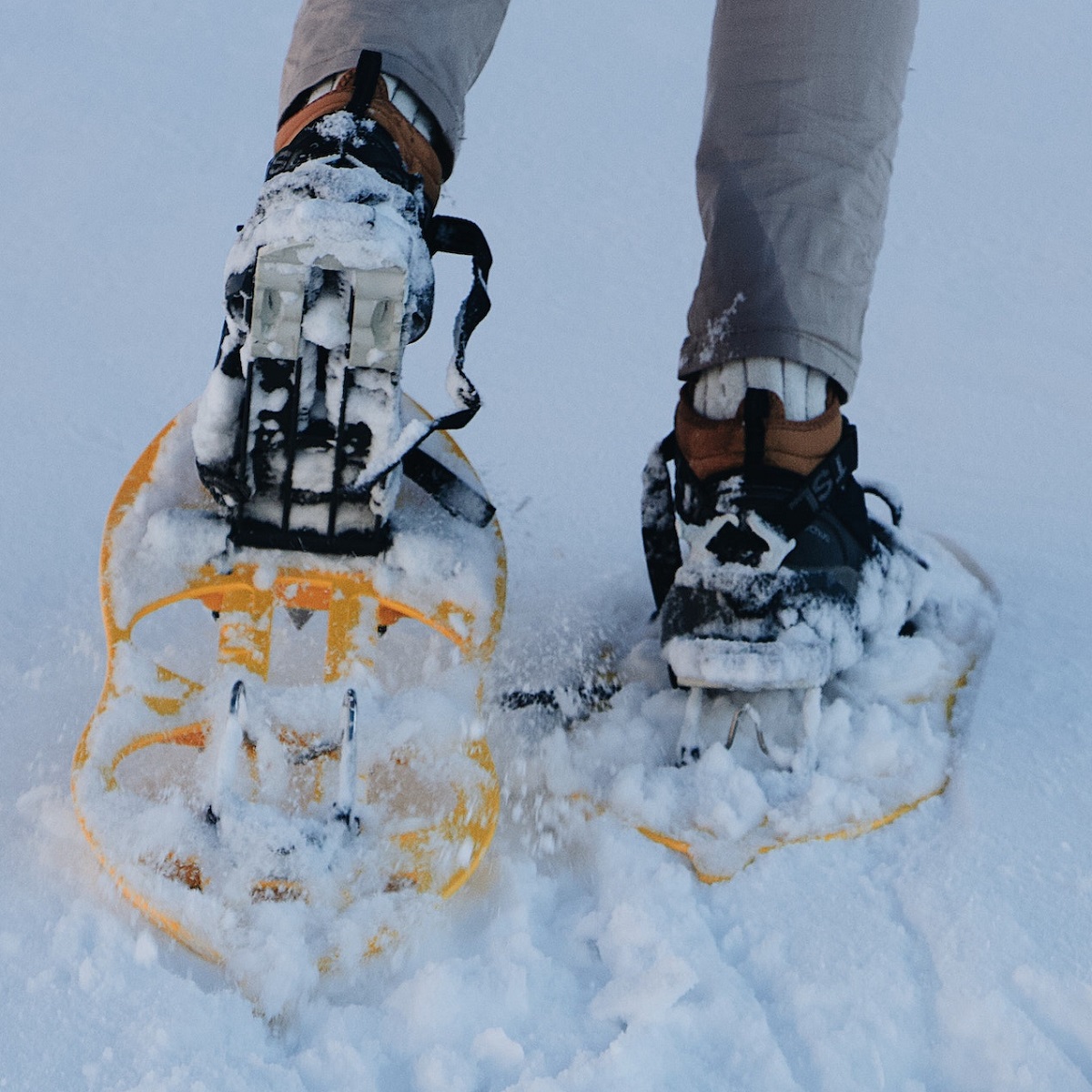 beginners-guide-to-snowshoeing